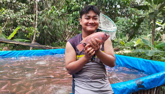 Budidaya Perikanan Ikan Nila